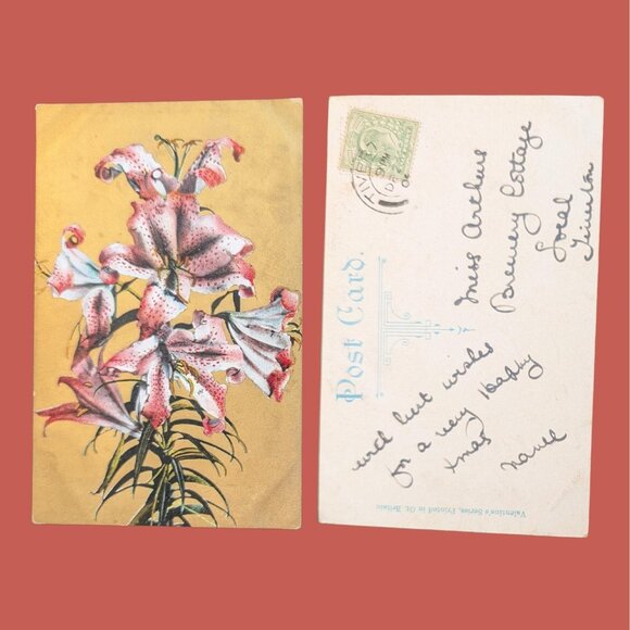 6/$15 Antique Gilded Postmarked Golden Age Floral Postcard  Lilies - Picture 1 of 1